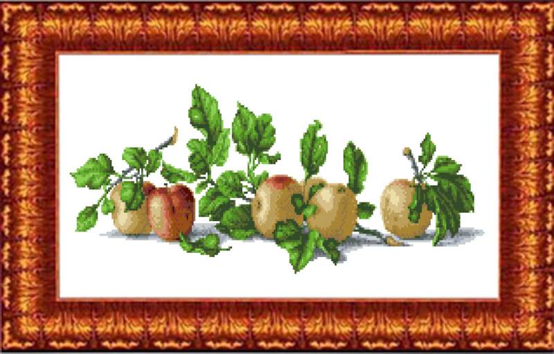 Натюрморт с яблоками - Канва с нанесенным рисунком для вышивки крестом 36х49 см